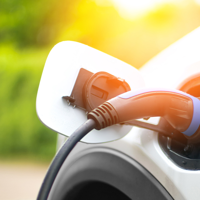 Il Gabbiano Hotel Cesenatico